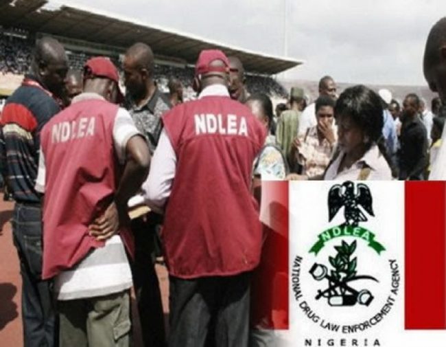 NDLEA Officials