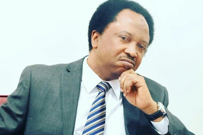 Senator Shehu Sani