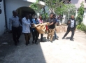 Lagos Evacuates Lion Discovered  In Indian’s Victoria Island Residence