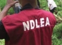 Court Remands Man ‘Caught’ Selling Marijuana At NDLEA Office In Prison
