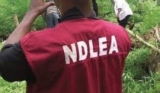 NDLEA Arraigns Businessman For allegedly Trafficking Cocaine To China