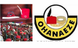 Ohanaeze Condemns FG New Visa Policy For Africans