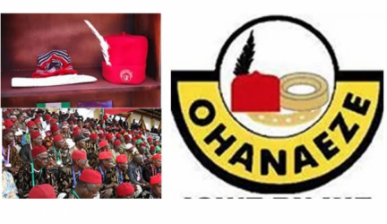 Ohanaeze Condemns FG New Visa Policy For Africans