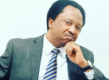 EFCC Confirms Shehu Sani’s Arrest; Why He’s In Trouble