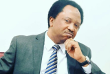 Extortion Scandal: Criminalising Me Will Not Silence Me– Shehu Sani