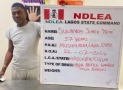 NDLEA Arrests Most Wanted Drug Baron In Lagos