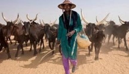 Delta State Community Bans Beef Over Herders’ Attacks