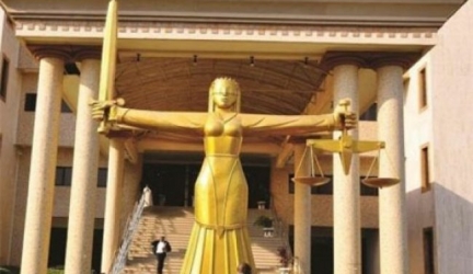 Lagos Court Jails Chinese For Illegal Exportation Of Donkey Genitals