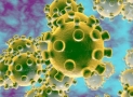 Coronavirus: Nigeria Records Five New Cases, Rivers Joins Lists