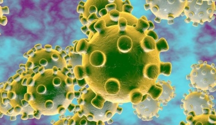Basic things you must do to stay safe from contracting Coronavirus