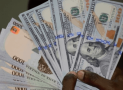 COVID-19: CBN Suspends Forex Sales To BDCs