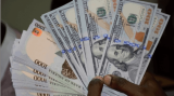 COVID-19: CBN Suspends Forex Sales To BDCs