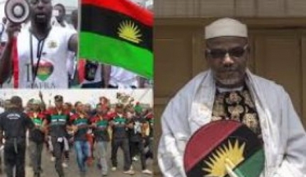 Operation Amotekun: Apologise To Kanu –IPOB Tells Ohanaeze, S’East Govs